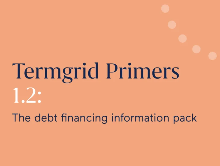 Termgrid Primers 1.2: The debt financing guide 