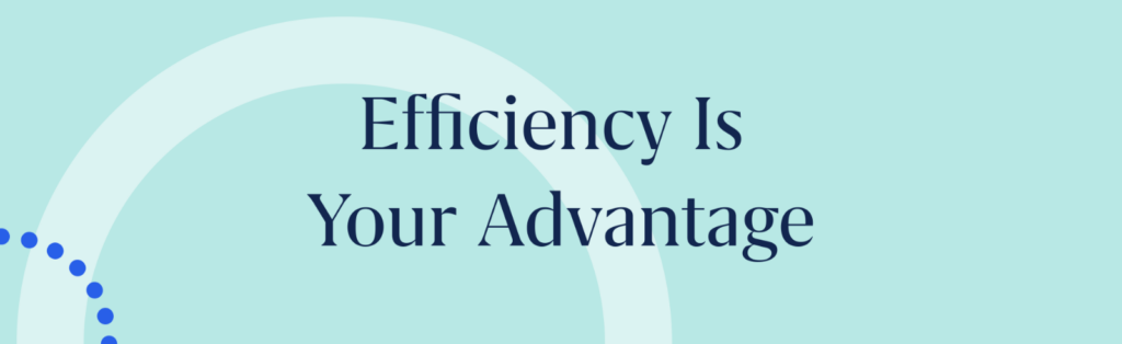 Private Equity Efficiency Playbook